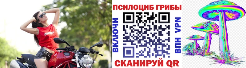 darknet формула  цены   Нытва  Псилоцибиновые грибы ЛСД 